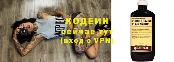 прущие грибы Гусиноозёрск