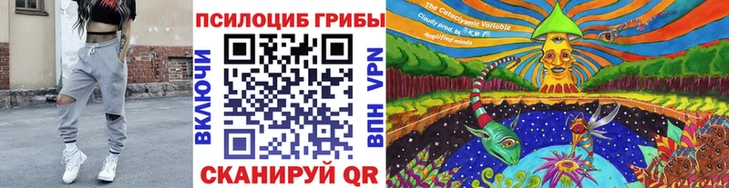Псилоцибиновые грибы Psilocybine cubensis  Балей 